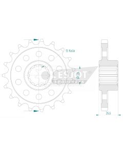 Front sprocket 19 teeth